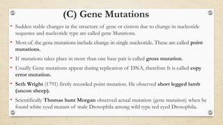 (C) Gene Mutations
• Sudden stable changes in the structure of gene or cistron due to change in nucleotide
sequence and nucleotide type are called gene Mutations.
• Most of the gene mutations include change in single nucleotide. These are called point
mutations.
• If mutations takes place in more than one base pair is called gross mutation.
• Usually Gene mutations appear during replication of DNA, therefore It is called copy
error mutation.
• Seth Wright (1791) firstly recorded point mutation. He observed short legged lamb
(ancon sheep).
• Scientifically Thomas hunt Morgan observed actual mutation (gene mutation) when he
found white eyed mutant of male Drosophila among wild type red eyed Drosophila.
 