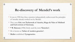 Re-discovery of Mendel’s work
• It was in 1900 that three scientists independently rediscovered the principles
of heredity already worked out by Mendel.
• They were Eric von Tschermak of Austria, Hugo de Vries of Holland
and Carl correns of Germany.
• * W. Bateson (1906) firstly used the term ‘Genetics’.
• He is known as ‘father of modern genetics’.
• Muller established ‘Cytogenetics.
 