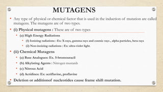 MUTAGENS
• Any type of physical or chemical factor that is used in the induction of mutation are called
mutagens. The mutagens are of two types.
• (i) Physical mutagens : These are of two types
• (a) High Energy Radiations
• (1) Ionizing radiations : Ex: X-rays, gamma rays and cosmic rays , alpha particles, beta rays
• (2) Non-inoizing radiations : Ex: ultra-violet light.
• (ii) Chemical Mutagens
• (a) Base Analogues: Ex. 5-bromouracil
• (b) Alkylating Agents : Nitrogen mustards
• (c) Nitrous Acid
• (d) Acridines: Ex: acriflavine, proflavine
• Deletion or additionof nucleotides cause frame shift mutation.
 