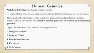 Human Genetics
• Archibald Garrod, firsty studied human genetics.
• He studied black urine disease alkeptonuria and stated that it is inherited by recessive gene.
• This was also the first study of inborn error of metabolism and biochemical genetics,
hence Garrod is also known as “Father of human genetics” or “Father of biochemical
genetics” .
• Important techniques used to study human genetics are.
• 1. Pedigree Analysis
• 2. Study of Twins
• 3. Population Genetics
• 4. Karyotype
• 5. Cell Culture
 