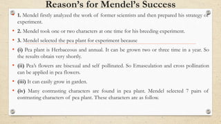 Reason’s for Mendel’s Success
• 1. Mendel firstly analyzed the work of former scientists and then prepared his strategy of
experiment.
• 2. Mendel took one or two characters at one time for his breeding experiment.
• 3. Mendel selected the pea plant for experiment because
• (i) Pea plant is Herbaceous and annual. It can be grown two or three time in a year. So
the results obtain very shortly.
• (ii) Pea’s flowers are bisexual and self pollinated. So Emasculation and cross pollination
can be applied in pea flowers.
• (iii) It can easily grow in garden.
• (iv) Many contrasting characters are found in pea plant. Mendel selected 7 pairs of
contrasting characters of pea plant. These characters are as follow.
 