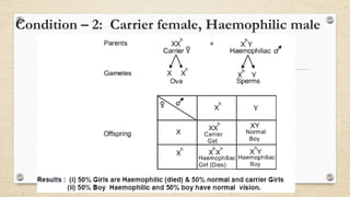 Condition – 2: Carrier female, Haemophilic male
 