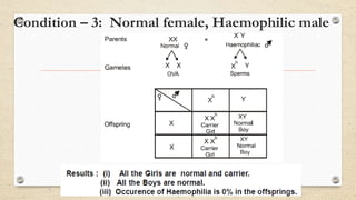 Condition – 3: Normal female, Haemophilic male
 