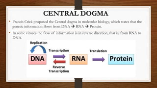 CENTRAL DOGMA
• Francis Crick proposed the Central dogma in molecular biology, which states that the
genetic information flows from DNA  RNA  Protein.
• In some viruses the flow of information is in reverse direction, that is, from RNA to
DNA.
 