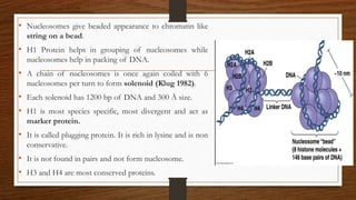• Nucleosomes give beaded appearance to chromatin like
string on a bead.
• H1 Protein helps in grouping of nucleosomes while
nucleosomes help in packing of DNA.
• A chain of nucleosomes is once again coiled with 6
nucleosomes per turn to form solenoid (Klug 1982).
• Each solenoid has 1200 bp of DNA and 300 Å size.
• H1 is most species specific, most divergent and act as
marker protein.
• It is called plugging protein. It is rich in lysine and is non
conservative.
• It is not found in pairs and not form nucleosome.
• H3 and H4 are most conserved proteins.
 