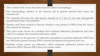 • They worked with viruses that infect bacteria called bacteriophages.
• The bacteriophage attaches to the bacteria and its genetic material then enters the
bacterial cell.
• The bacterial cell treats the viral genetic material as if it was its own and subsequently
manufactures more virus particles.
• Hershey and Chase worked to discover whether it was protein or DNA from the viruses
that entered the bacteria.
• They grew some viruses on a medium that contained radioactive phosphorus and some
others on medium that contained radioactive sulfur.
• Viruses grown in the presence of radioactive phosphorus contained radioactive DNA but
not radioactive protein because DNA contains phosphorus but protein does not.
• Similarly, viruses grown on radioactive sulfur contained radioactive protein but not
radioactive DNA because DNA does not contain sulfur.
 
