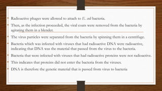 • Radioactive phages were allowed to attach to E. coli bacteria.
• Then, as the infection proceeded, the viral coats were removed from the bacteria by
agitating them in a blender.
• The virus particles were separated from the bacteria by spinning them in a centrifuge.
• Bacteria which was infected with viruses that had radioactive DNA were radioactive,
indicating that DNA was the material that passed from the virus to the bacteria.
• Bacteria that were infected with viruses that had radioactive proteins were not radioactive.
• This indicates that proteins did not enter the bacteria from the viruses.
• DNA is therefore the genetic material that is passed from virus to bacteria
 