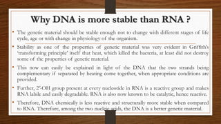 Why DNA is more stable than RNA ?
• The genetic material should be stable enough not to change with different stages of life
cycle, age or with change in physiology of the organism.
• Stability as one of the properties of genetic material was very evident in Griffith’s
‘transforming principle’ itself that heat, which killed the bacteria, at least did not destroy
some of the properties of genetic material.
• This now can easily be explained in light of the DNA that the two strands being
complementary if separated by heating come together, when appropriate conditions are
provided.
• Further, 2'-OH group present at every nucleotide in RNA is a reactive group and makes
RNA labile and easily degradable. RNA is also now known to be catalytic, hence reactive.
• Therefore, DNA chemically is less reactive and structurally more stable when compared
to RNA. Therefore, among the two nucleic acids, the DNA is a better genetic material.
 
