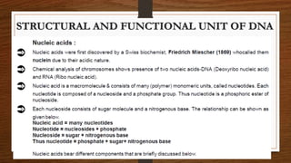 STRUCTURAL AND FUNCTIONAL UNIT OF DNA
 