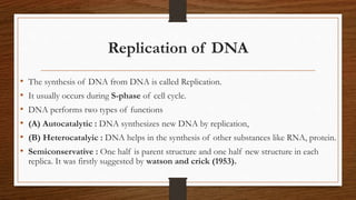 Replication of DNA
• The synthesis of DNA from DNA is called Replication.
• It usually occurs during S-phase of cell cycle.
• DNA performs two types of functions
• (A) Autocatalytic : DNA synthesizes new DNA by replication,
• (B) Heterocatalyic : DNA helps in the synthesis of other substances like RNA, protein.
• Semiconservative : One half is parent structure and one half new structure in each
replica. It was firstly suggested by watson and crick (1953).
 