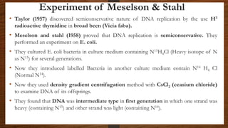Experiment of Meselson & Stahl
• Taylor (1957) discovered semiconservative nature of DNA replication by the use H3
radioactive thymidine in broad been (Vicia faba).
• Meselson and stahl (1958) proved that DNA replication is semiconservative. They
performed an experiment on E. coli.
• They cultured E. coli bacteria in culture medium containing N15H4Cl (Heavy isotope of N
as N15) for several generations.
• Now they introduced labelled Bacteria in another culture medium contain N14 H4 Cl
(Normal N14).
• Now they used density gradient centrifugation method with CsCl2 (ceasium chloride)
to examine DNA of its offsprings.
• They found that DNA was intermediate type in first generation in which one strand was
heavy (containing N15) and other strand was light (containing N14).
 