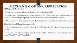 MECHANISM OF DNA REPLICATION
(1) Origin of Replication
• It starts at a particular place called origin of replication or Ori.
• In prokaryotes replication starts at one point & entire DNA strand takes part in replication
thus it contains single replicon while in Eukaryotes several replicons present.
• DNA replicaton is bidirectional, semi discontinuous and semiconservative In eucaryotes .
(2) Activation of Deoxyribonucleotides
• The phosphorylated nucleotides (deAMP, deGMP, deCMP , deTMP) are found in inactivated
form.
• They react with ATP in the presence of phosphorylase enzyme & converted in to active
deATP, deGTP, deCTP , deTTP.
 