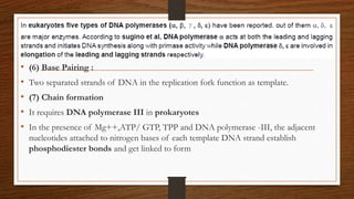 • (6) Base Pairing :
• Two separated strands of DNA in the replication fork function as template.
• (7) Chain formation
• It requires DNA polymerase III in prokaryotes
• In the presence of Mg++,ATP/ GTP, TPP and DNA polymerase -III, the adjacent
nucleotides attached to nitrogen bases of each template DNA strand establish
phosphodiester bonds and get linked to form
 