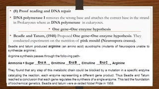 • (8) Proof reading and DNA repair
• DNA polymerase I removes the wrong base and attaches the correct base in the strand
in Prokaryotes where as DNA polymerase in eukaryotes.
• One gene–One enzyme hypothesis
• Beadle and Tatum, (1948) Proposed One gene–One enzyme hypothesis. They
conducted experiments on the nutrition of pink mould (Neurospora crassa).
 