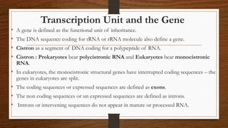Transcription Unit and the Gene
• A gene is defined as the functional unit of inheritance.
• The DNA sequence coding for tRNA or rRNA molecule also define a gene.
• Cistron as a segment of DNA coding for a polypeptide of RNA.
• Cistron : Prokaryotes bear polycistronic RNA and Eukaryotes bear monocistronic
RNA.
• In eukaryotes, the monocistronic structural genes have interrupted coding sequences – the
genes in eukaryotes are split.
• The coding sequences or expressed sequences are defined as exons.
• The non coding sequences or un expressed sequences are defined as introns.
• Introns or intervening sequences do not appear in mature or processed RNA.
 