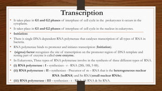 Transcription
• It takes place in G1 and G2 phases of interphase of cell cycle in the prokaryotes it occurs in the
cytoplasm.
• It takes place in G1 and G2 phases of interphase of cell cycle in the nucleus in eukaryotes.
• Initiation:
• There is single DNA-dependent RNA polymerase that catalyses transcription of all types of RNA in
bacteria.
• RNA polymerase binds to promoter and initiates transcription (Initiation).
• (sigma) factor recognizes the site of transcription on the promoter region of DNA template and
resting part of enzyme is called core enzyme.
• In Eukaryotes, Three types of RNA polymerase involve in the synthesis of three different types of RNA.
• (i) RNA polymerase : I - synthesizes - r - RNA (28S, 18S, 5·8S).
• (ii) RNA polymerase : II - synthesizes - Precursor of m – RNA that is the heterogeneous nuclear
RNA (hnRNA) and Sn RNA(small nuclear RNAs).
• (iii) RNA polymerase : III - synthesizes - t - RNA, 5S RNA & Sn RNA.
 