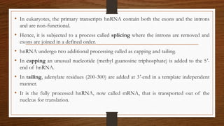 • In eukaryotes, the primary transcripts hnRNA contain both the exons and the introns
and are non-functional.
• Hence, it is subjected to a process called splicing where the introns are removed and
exons are joined in a defined order.
• hnRNA undergo two additional processing called as capping and tailing.
• In capping an unusual nucleotide (methyl guanosine triphosphate) is added to the 5'-
end of hnRNA.
• In tailing, adenylate residues (200-300) are added at 3'-end in a template independent
manner.
• It is the fully processed hnRNA, now called mRNA, that is transported out of the
nucleus for translation.
 