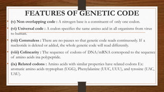 FEATURES OF GENETIC CODE
• (v) Non overlapping code : A nitrogen base is a constituent of only one codon.
• (vi) Universal code : A codon specifies the same amino acid in all organisms from virus
to human.
• (vii) Commaless : There are no pauses so that genetic code reads continuously. If a
nucleotide is deleted or added, the whole genetic code will read differently.
• (viii) Colinearity : The sequence of codons of DNA/mRNA correspond to the sequence
of amino acids ina polypeptide.
• (ix) Related codons : Amino acids with similar properties have related codons Ex:
aromatic amino acids tryptophan (UGG), Phenylalanine (UUC, UUU), and tyrosine (UAC,
UAU).
 