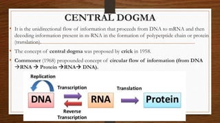 CENTRAL DOGMA
• It is the unidirectional flow of information that proceeds from DNA to mRNA and then
decoding information present in m-RNA in the formation of polypetptide chain or protein
(translation).
• The concept of central dogma was proposed by crick in 1958.
• Commoner (1968) propounded concept of circular flow of information (from DNA
RNA  Protein RNA DNA).
 