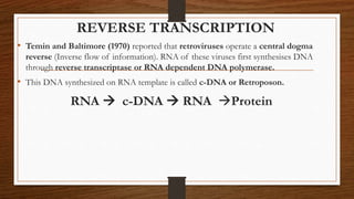 • Temin and Baltimore (1970) reported that retroviruses operate a central dogma
reverse (Inverse flow of information). RNA of these viruses first synthesises DNA
through reverse transcriptase or RNA dependent DNA polymerase.
• This DNA synthesized on RNA template is called c-DNA or Retroposon.
RNA  c-DNA  RNA Protein
REVERSE TRANSCRIPTION
 