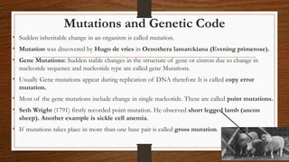 Mutations and Genetic Code
• Sudden inheritable change in an organism is called mutation.
• Mutation was discovered by Hugo de vries in Oenothera lamarckiana (Evening primerose).
• Gene Mutations: Sudden stable changes in the structure of gene or cistron due to change in
nucleotide sequence and nucleotide type are called gene Mutations.
• Usually Gene mutations appear during replication of DNA therefore It is called copy error
mutation.
• Most of the gene mutations include change in single nucleotide. These are called point mutations.
• Seth Wright (1791) firstly recorded point mutation. He observed short legged lamb (ancon
sheep). Another example is sickle cell anemia.
• If mutations takes place in more than one base pair is called gross mutation.
 
