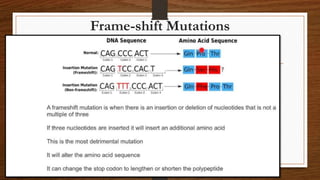 Frame-shift Mutations
 