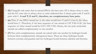 • (5) Chargaffs rule states that in natural DNAs the base ratio AT is always close to unity
and the GC ratio also to always close to unity indicated that A always pairs with T and G
pairs with C. A and T, G and C, therefore, are complementary base pairs.
• (6) Thus, if one DNA strand has A, the other would have T and if it has G, the other,
would have C. Therefore, if the base sequence of one strand is CAT TAG GAC, the base
sequence of other strand would be GTA ATC CTG. Hence, the two poly nucleotide
strands are called complementary to one another.
• (7) Two such complementary strands are joined with one another by hydrogen bonds
between their complementary nitrogenous bases. There are three hydrogen bonds
between cytosine and guanine and two hydrogen bonds between adenine and thymine.
 
