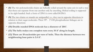 • (8) The two polynucleotide chains are helically coiled around the same axis in such a way
that these can separate from one another only by uncoiling. Helical coiling is supposed
to be right handed. Such a form of DNA is now called B-DNA
• (9) The two chains or strands are antiparallel, i.e., they run in opposite directions in
relation to their sugar molecules. Their 5’P - 3' OH phosphodiester linkages are in
opposite directions
• (10) Double standed DNA molecule has a diameter of 20Aº.
• (11) The helix makes one complete turn every 34 Aº along its length.
• (12) There are 10 nucleotides per turn of helix. Thus the distance between two
neighbouring base pairs is 3.4 Aº.
 