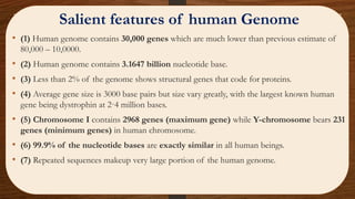 • (1) Human genome contains 30,000 genes which are much lower than previous estimate of
80,000 – 10,0000.
• (2) Human genome contains 3.1647 billion nucleotide base.
• (3) Less than 2% of the genome shows structural genes that code for proteins.
• (4) Average gene size is 3000 base pairs but size vary greatly, with the largest known human
gene being dystrophin at 2·4 million bases.
• (5) Chromosome I contains 2968 genes (maximum gene) while Y-chromosome bears 231
genes (minimum genes) in human chromosome.
• (6) 99.9% of the nucleotide bases are exactly similar in all human beings.
• (7) Repeated sequences makeup very large portion of the human genome.
Salient features of human Genome
 