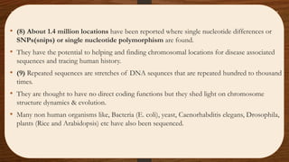 • (8) About 1.4 million locations have been reported where single nucleotide differences or
SNPs(snips) or single nucleotide polymorphism are found.
• They have the potential to helping and finding chromosomal locations for disease associated
sequences and tracing human history.
• (9) Repeated sequences are stretches of DNA sequnces that are repeated hundred to thousand
times.
• They are thought to have no direct coding functions but they shed light on chromosome
structure dynamics & evolution.
• Many non human organisms like, Bacteria (E. coli), yeast, Caenorhabditis elegans, Drosophila,
plants (Rice and Arabidopsis) etc have also been sequenced.
 