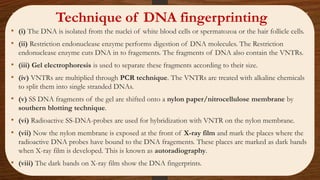 • (i) The DNA is isolated from the nuclei of white blood cells or spermatozoa or the hair follicle cells.
• (ii) Restriction endonuclease enzyme performs digestion of DNA molecules. The Restriction
endonuclease enzyme cuts DNA in to fragements. The fragments of DNA also contain the VNTRs.
• (iii) Gel electrophoresis is used to separate these fragments according to their size.
• (iv) VNTRs are multiplied through PCR technique. The VNTRs are treated with alkaline chemicals
to split them into single stranded DNAs.
• (v) SS DNA fragments of the gel are shifted onto a nylon paper/nitrocellulose membrane by
southern blotting technique.
• (vi) Radioactive SS-DNA-probes are used for hybridization with VNTR on the nylon membrane.
• (vii) Now the nylon membrane is exposed at the front of X-ray film and mark the places where the
radioactive DNA probes have bound to the DNA fragements. These places are marked as dark bands
when X-ray film is developed. This is known as autoradiography.
• (viii) The dark bands on X-ray film show the DNA fingerprints.
Technique of DNA fingerprinting
 