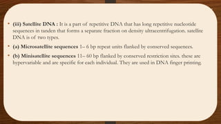 • (iii) Satellite DNA : It is a part of repetitive DNA that has long repetitive nucleotide
sequences in tanden that forms a separate fraction on density ultracentrifugation. satellite
DNA is of two types.
• (a) Microsatellite sequences 1– 6 bp repeat units flanked by conserved sequences.
• (b) Minisatellite sequences 11– 60 bp flanked by conserved restriction sites. these are
hypervariable and are specific for each individual. They are used in DNA finger printing.
 