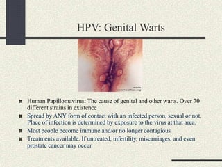 HPV: Genital Warts
Human Papillomavirus: The cause of genital and other warts. Over 70
different strains in existence
Spread by ANY form of contact with an infected person, sexual or not.
Place of infection is determined by exposure to the virus at that area.
Most people become immune and/or no longer contagious
Treatments available. If untreated, infertility, miscarriages, and even
prostate cancer may occur
 