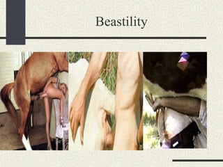 Beastility
 