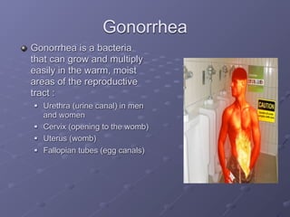 Gonorrhea
Gonorrhea is a bacteria
that can grow and multiply
easily in the warm, moist
areas of the reproductive
tract :
   Urethra (urine canal) in men
    and women
   Cervix (opening to the womb)
   Uterus (womb)
   Fallopian tubes (egg canals)
 
