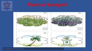 std 2nd L=3 Plants of backyard.pptx