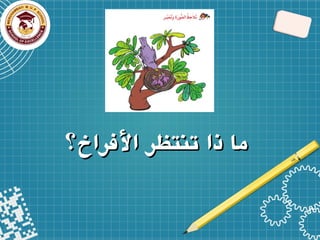 ‫األفراخ؟‬ ‫تنتظر‬ ‫ذا‬ ‫ما‬
‫األفراخ؟‬ ‫تنتظر‬ ‫ذا‬ ‫ما‬
 