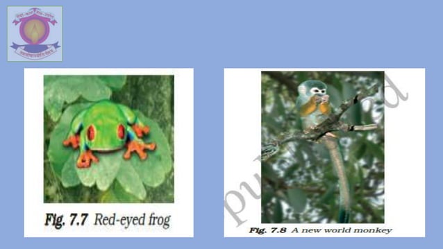 Std 7th Science Chapter 7 WEATHER, CLIMATE AND ADAPTATIONS OF ANIMALS ...