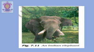 Std 7th Science Chapter 7 WEATHER, CLIMATE AND ADAPTATIONS OF ANIMALS ...