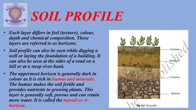 Std 7th Science Chapter 9 SOIL.pptx