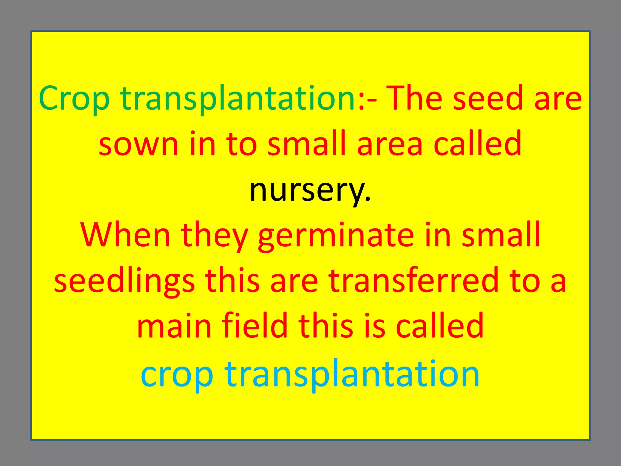Crop transplantation:- The seed are
sown in to small area called
nursery.
When they germinate in small
seedlings this are transferred to a
main field this is called
crop transplantation
 