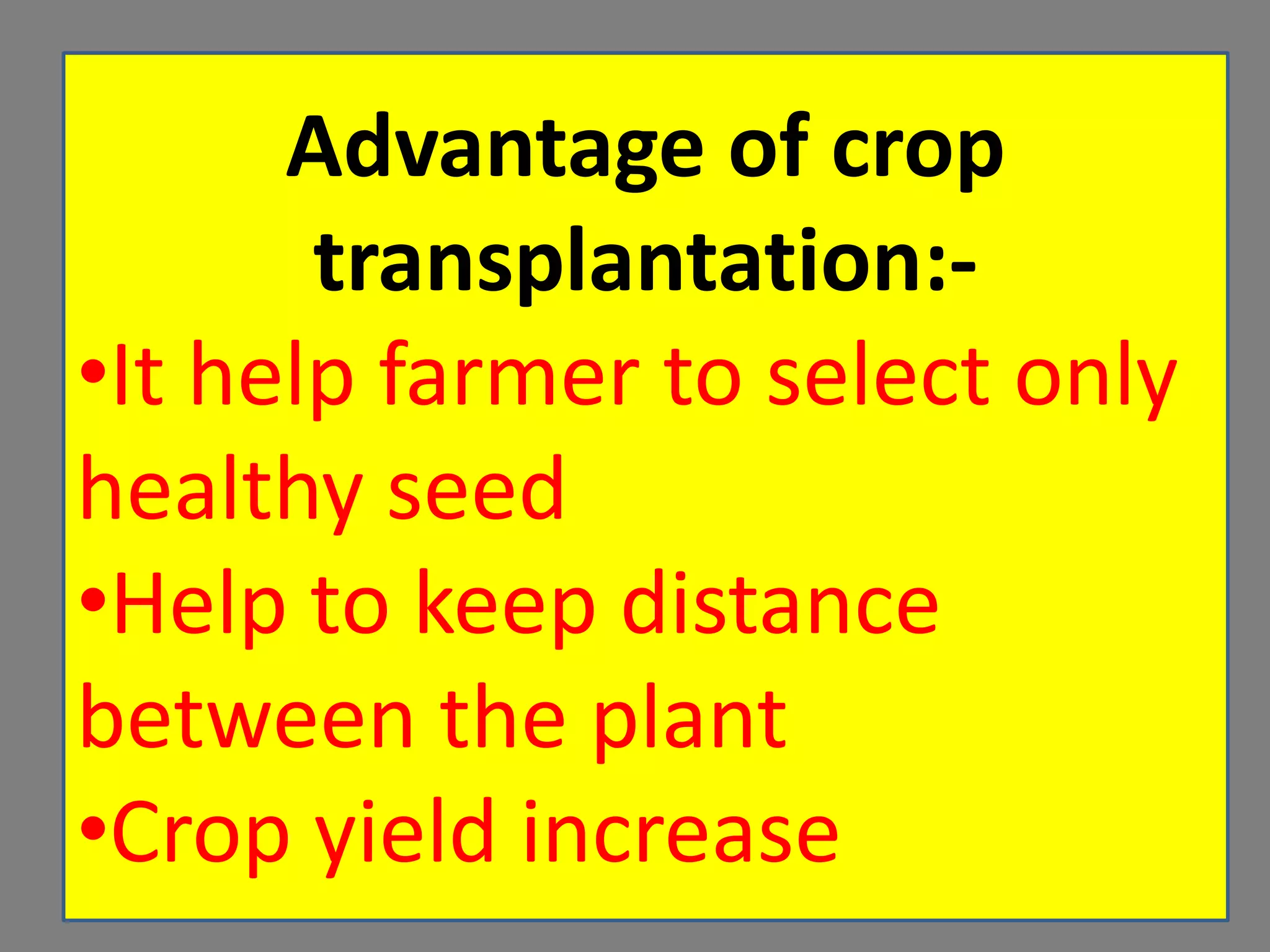 Advantage of crop
transplantation:-
•It help farmer to select only
healthy seed
•Help to keep distance
between the plant
•Crop yield increase
 