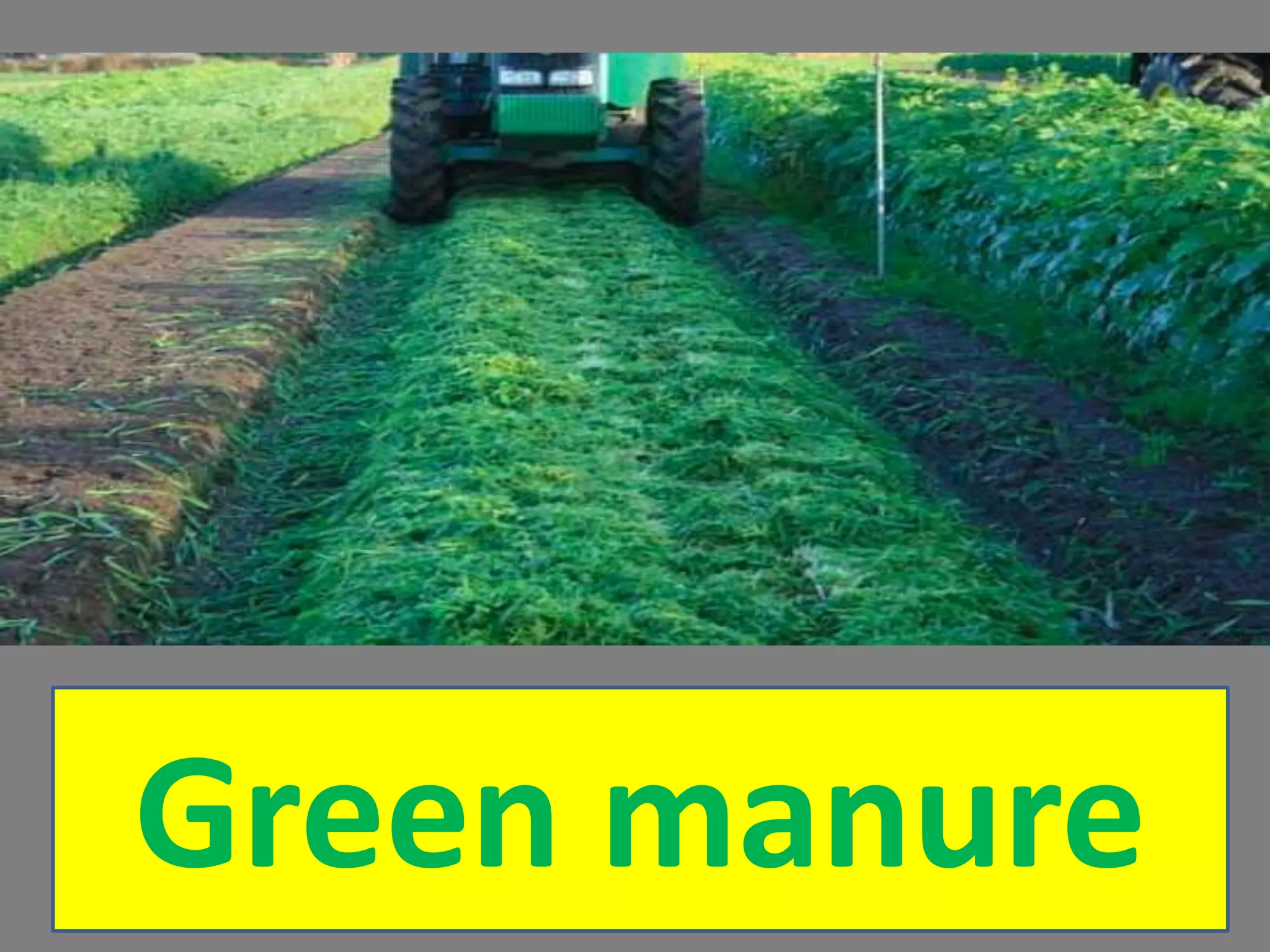 Green manure
 