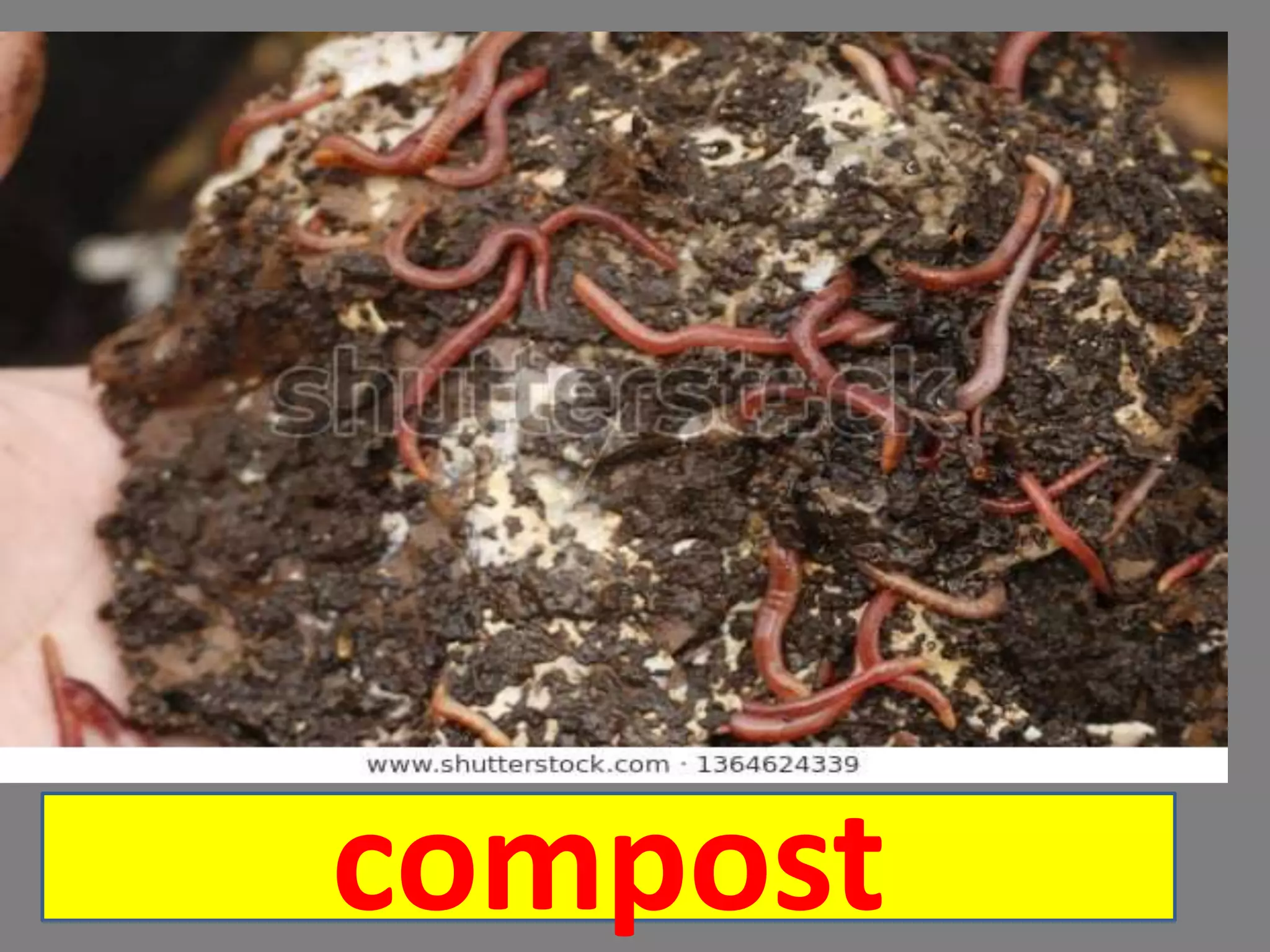 compost
 