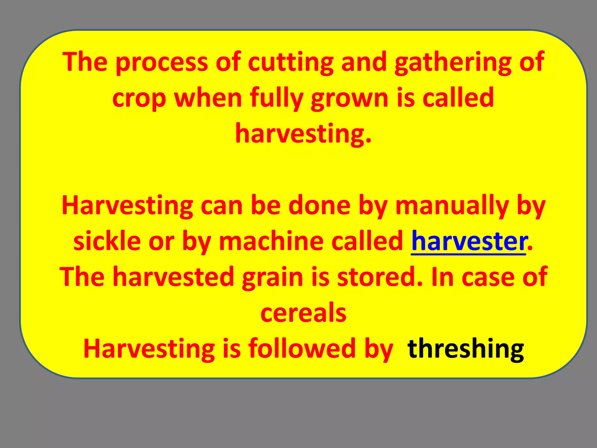 The process of cutting and gathering of
crop when fully grown is called
harvesting.
Harvesting can be done by manually by
sickle or by machine called harvester.
The harvested grain is stored. In case of
cereals
Harvesting is followed by threshing
 