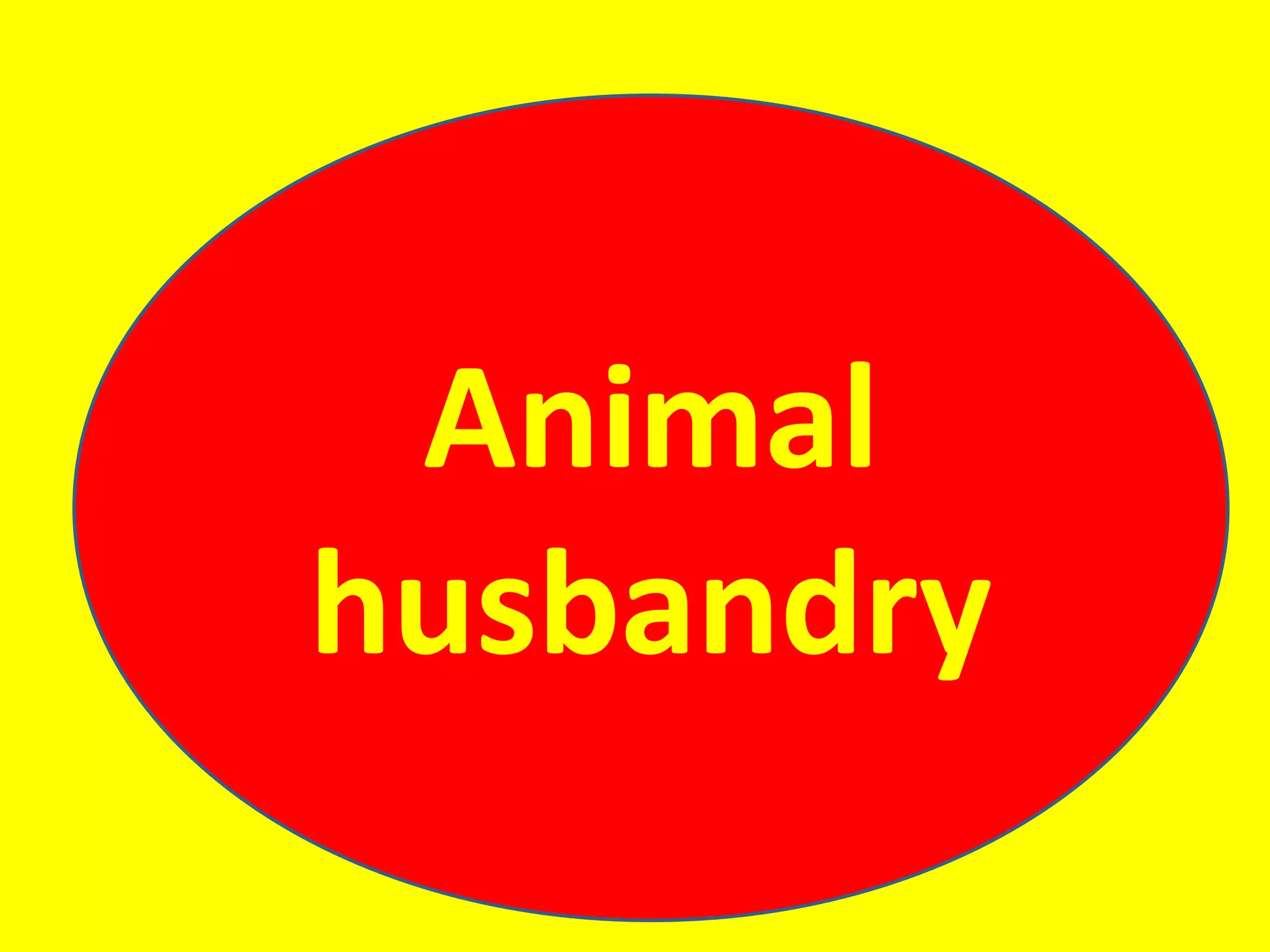 Animal
husbandry
 