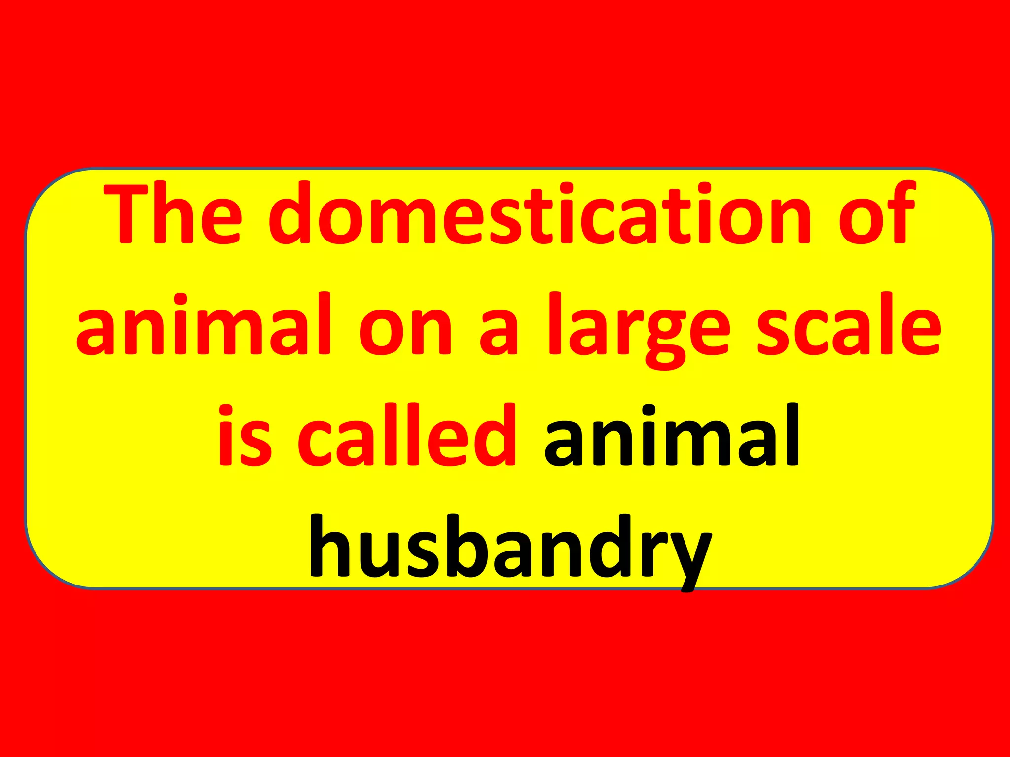 The domestication of
animal on a large scale
is called animal
husbandry
 