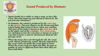 • Speak loudly for a while or sing a song, or buzz like
a bee. Put your hand on your throat as shown in. Do
you feel any vibrations?
• In humans, the sound is produced by the voice box
or the larynx. Put your fingers on the throat and find
a hard bump that seems to move when you swallow.
This part of the body is known as the voice box. It is
at the upper end of the windpipe. Two vocal cords,
are stretched across the voice box or larynx in such a
way that it leaves a narrow slit between them for the
passage of air.
• When the lungs force air through the slit, the vocal
cords vibrate, producing sound. Muscles attached to
the vocal cords can make the cords tight or loose.
When the vocal cords are tight and thin, the type or
quality of voice is different from that when they are
loose and thick.
Sound Produced by Humans
 