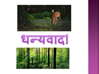 Uses of forest in hindi | PPTX