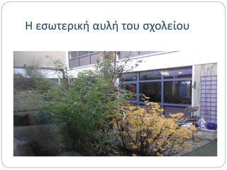 Η εσωτερική αυλή του σχολείου
 